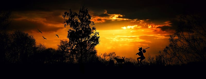 Man walking in the forest